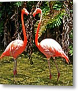 2 Pink Flamingos Metal Print