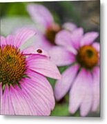 Stand Out #2 Metal Print