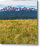 Wildflowers And Pikes Peak #2 Metal Print