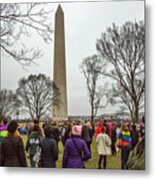 Women's March, Washington Dc, 2016 #2 Metal Print