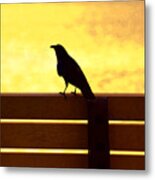 20- Waiting Metal Print