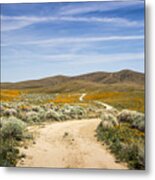 Antelope Valley Poppy Reserve #22 Metal Print