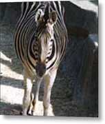 Zoo Scapes #23 Metal Print
