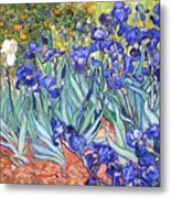 Irises #24 Metal Print