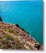 Point Reyes National Seashore Landscapes In California  #24 Metal Print