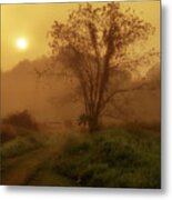 Misty Mountain Sunrise #28 Metal Print