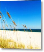 Beautiful Beach #3 Metal Print