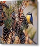 Black-capped Chickadee #3 Metal Print