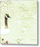 Canada Goose On A Stream In Autumn #2 Metal Print