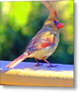 Northern Cardinal #3 Metal Print