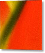 Photograph Of A Lobster Claws Heliconia #3 Metal Print