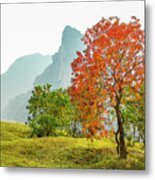 The Colorful Autumn Scenery #3 Metal Print