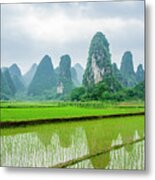 The Beautiful Karst Rural Scenery In Spring #34 Metal Print