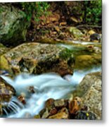 Kens Creek Cranberry Wilderness #4 Metal Print