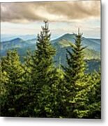 Landscape Scenic Views At Isgah National Forest #4 Metal Print