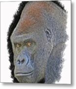 Silverback #5 Metal Print