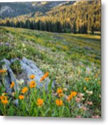 Wasatch Mountains #4 Metal Print