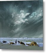 4399 Metal Print