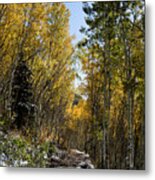 Rocky Mountain Fall #46 Metal Print