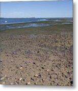 Stony Point #47 Metal Print