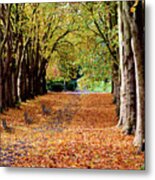 Autumn In The Park Metal Print