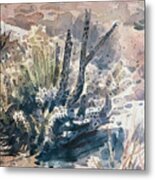 Cholla #5 Metal Print