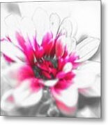 Flower #5 Metal Print