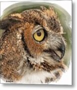 Great Horned Owl #5 Metal Print