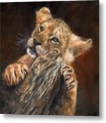 Lion Cub #5 Metal Print