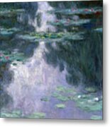 Waterlilies Metal Print