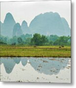 Karst Rural Scenery In Spring #51 Metal Print