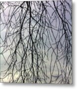 Winter Trees And Clouds #54 Metal Print
