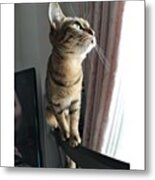 Instagram Photo #571455768299 Metal Print