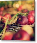 Apple #6 Metal Print