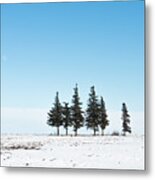 6 Pines And The Moon Metal Print