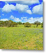 Texas Hill Country Metal Print