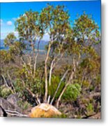 Wilpena Pound  #6 Metal Print