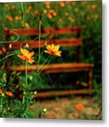 Galsang Flowers In Garden #61 Metal Print
