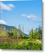 Countryside Scenery In Autumn #7 Metal Print