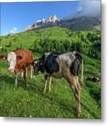 Passo Di Sella - Dolomiti #8 Metal Print