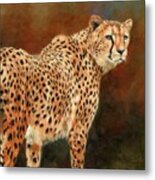 Cheetah #9 Metal Print