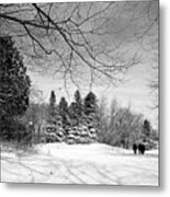 9148bw Metal Print