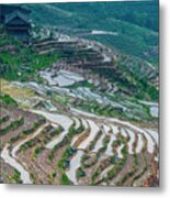 Longji Terraced Fields Scenery #94 Metal Print