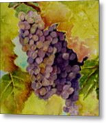 A Bunch Of Grapes Metal Print