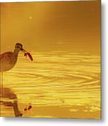 A Catch Metal Print