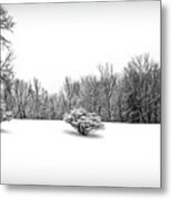 A Cold Winters Day Black And White Metal Print
