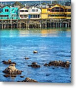 A Day In The Bay Metal Print