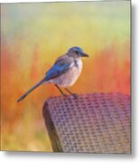 A Garden Visit Metal Print