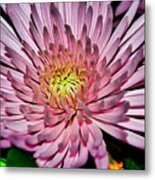 A Jewel Metal Print