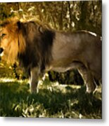 A Lion King Metal Print